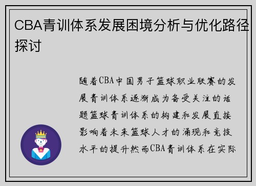 CBA青训体系发展困境分析与优化路径探讨